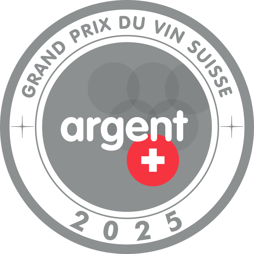 GPVS 2025 | Médaille d'argent